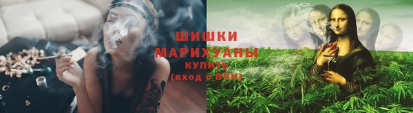spice Магадан