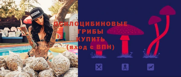 spice Магадан